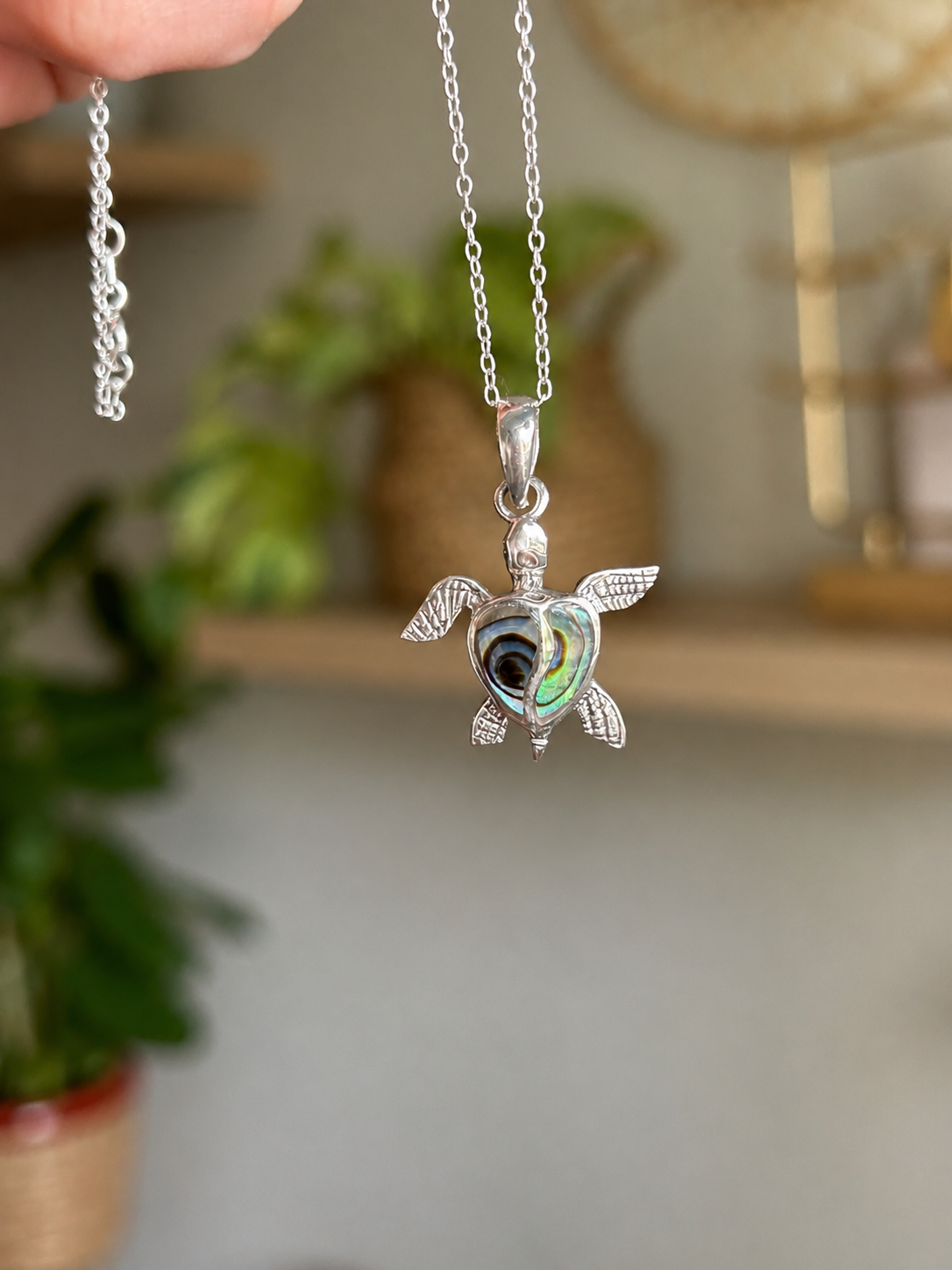 Collar Tortuga Abalón Plata 925