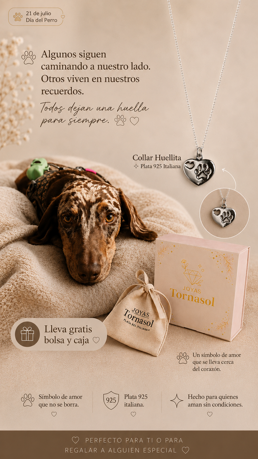 Collar Huellita de Perrito en Plata 925